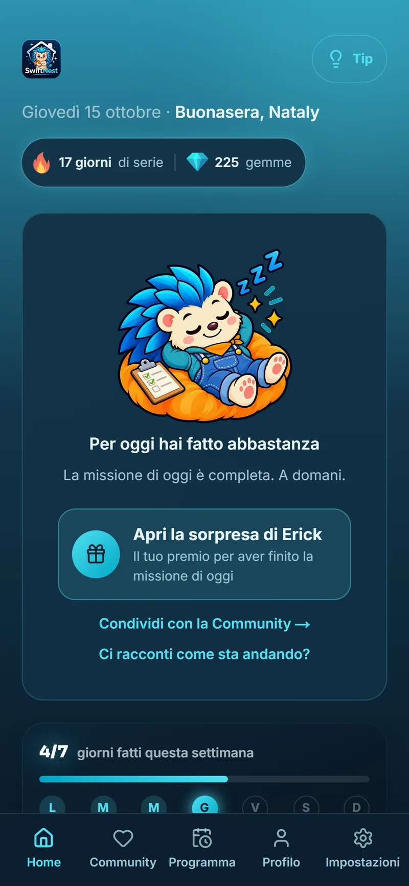 SwiftNest con la missione di oggi completata ed Erick che si riposa