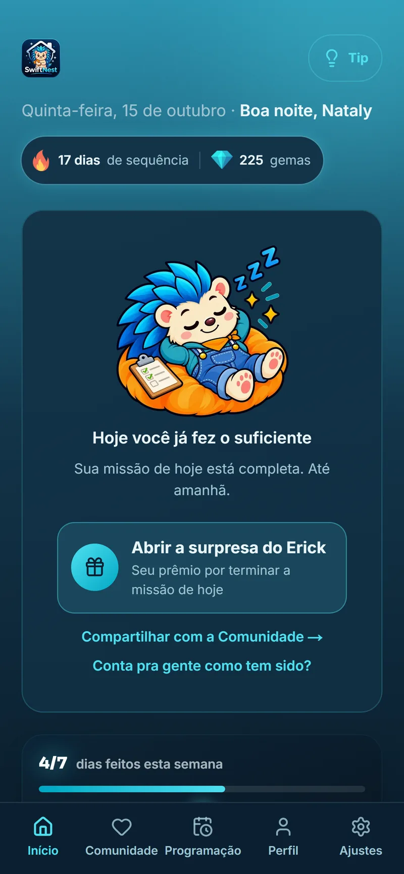 SwiftNest com a missão de hoje concluída e o Erick descansando